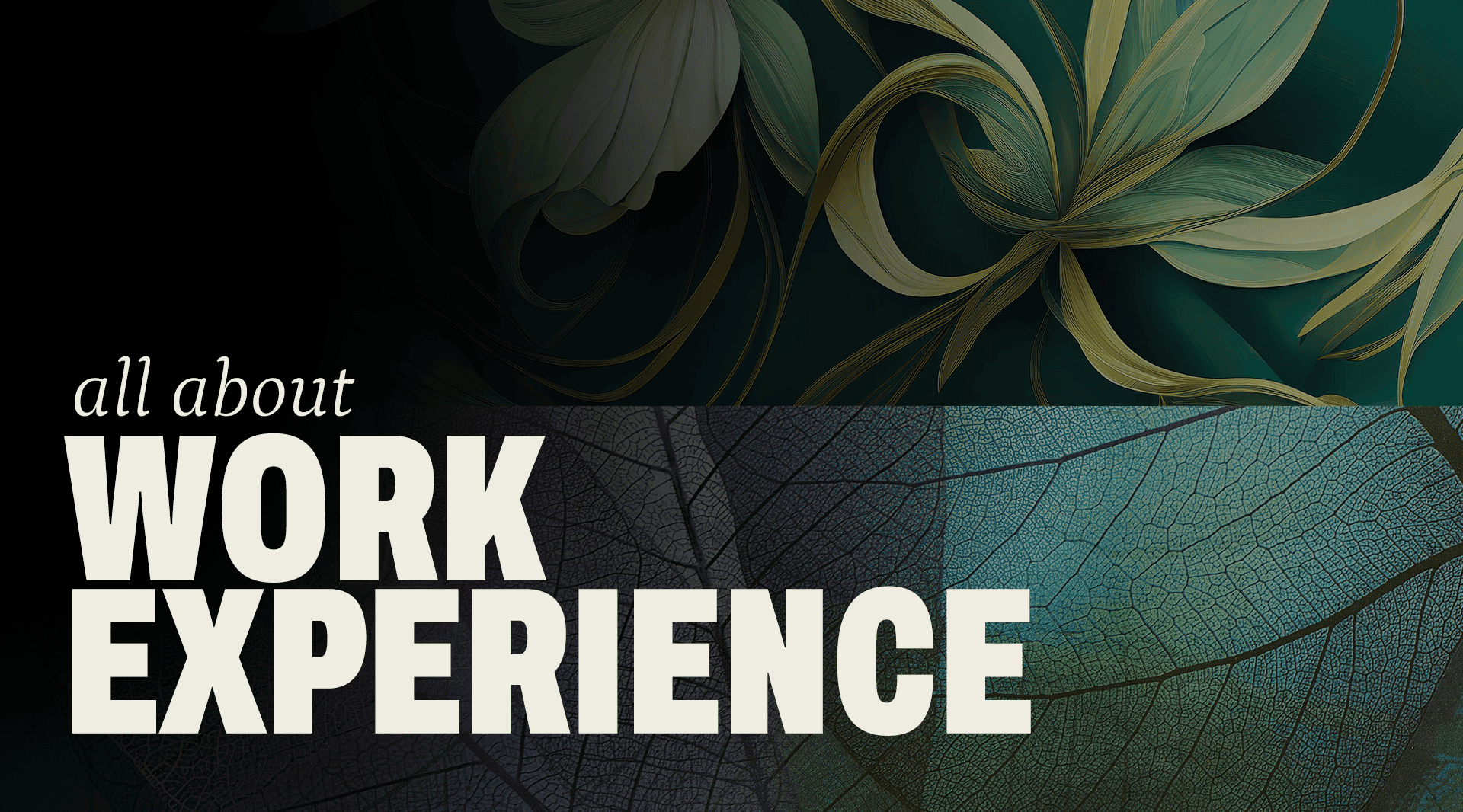 workexperience