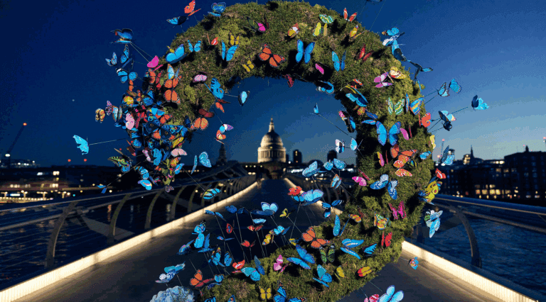 gosh_butterflies